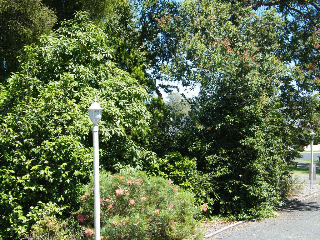 Bega Caravan Park Exterior foto