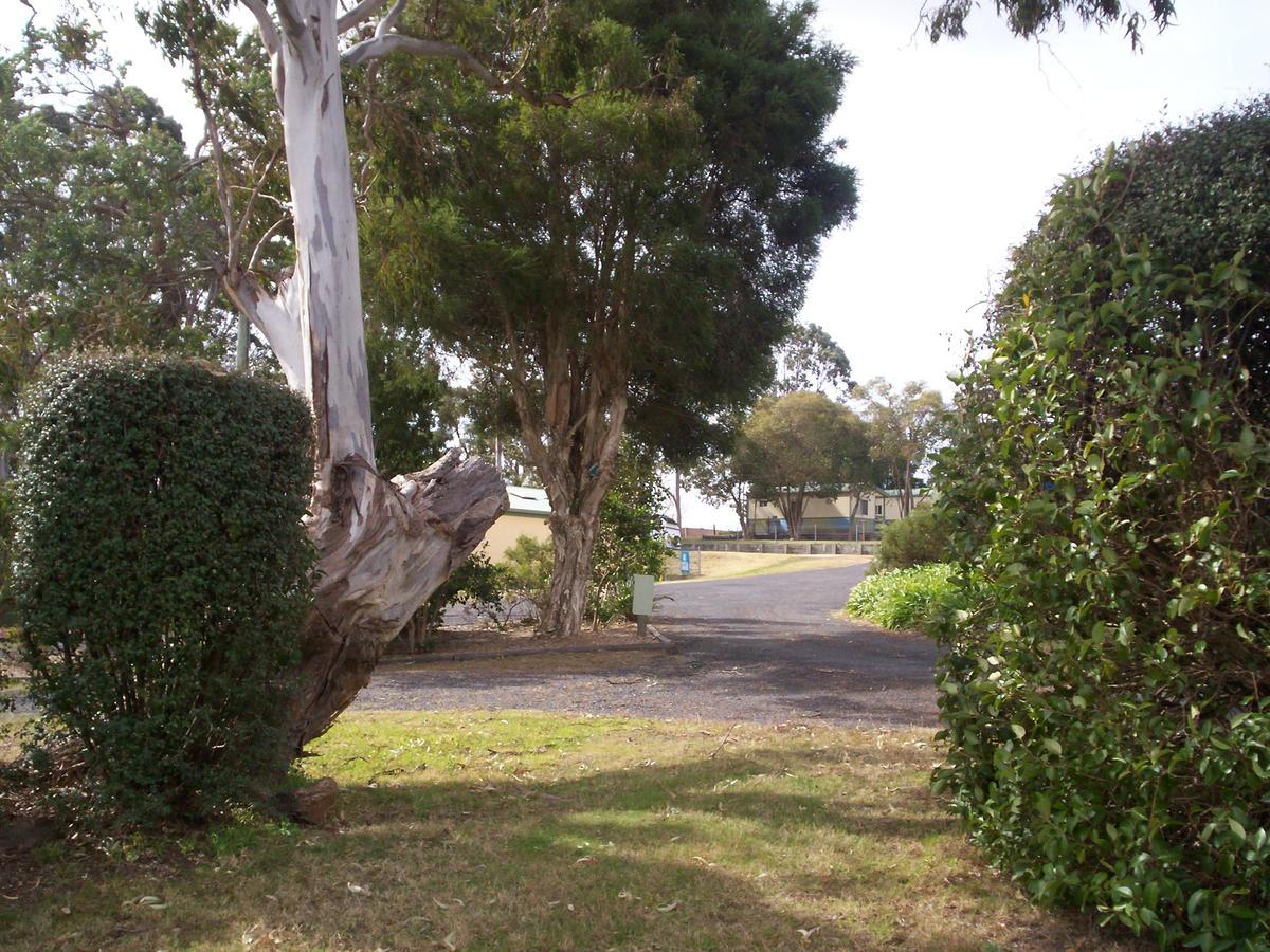 Bega Caravan Park Exterior foto